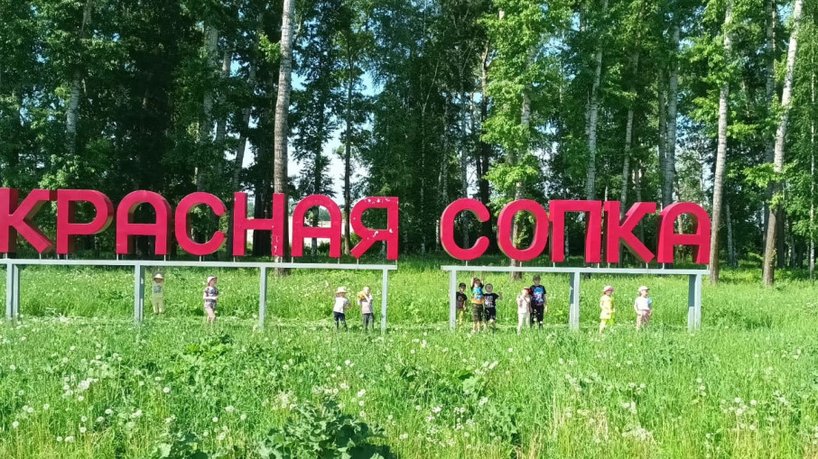 Туристская деятельность дошкольников Туристская деятельность дошкольников.